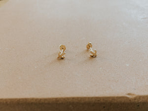 Tiny Cactus Stud Earrings