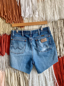 Medium Wash Denim Short