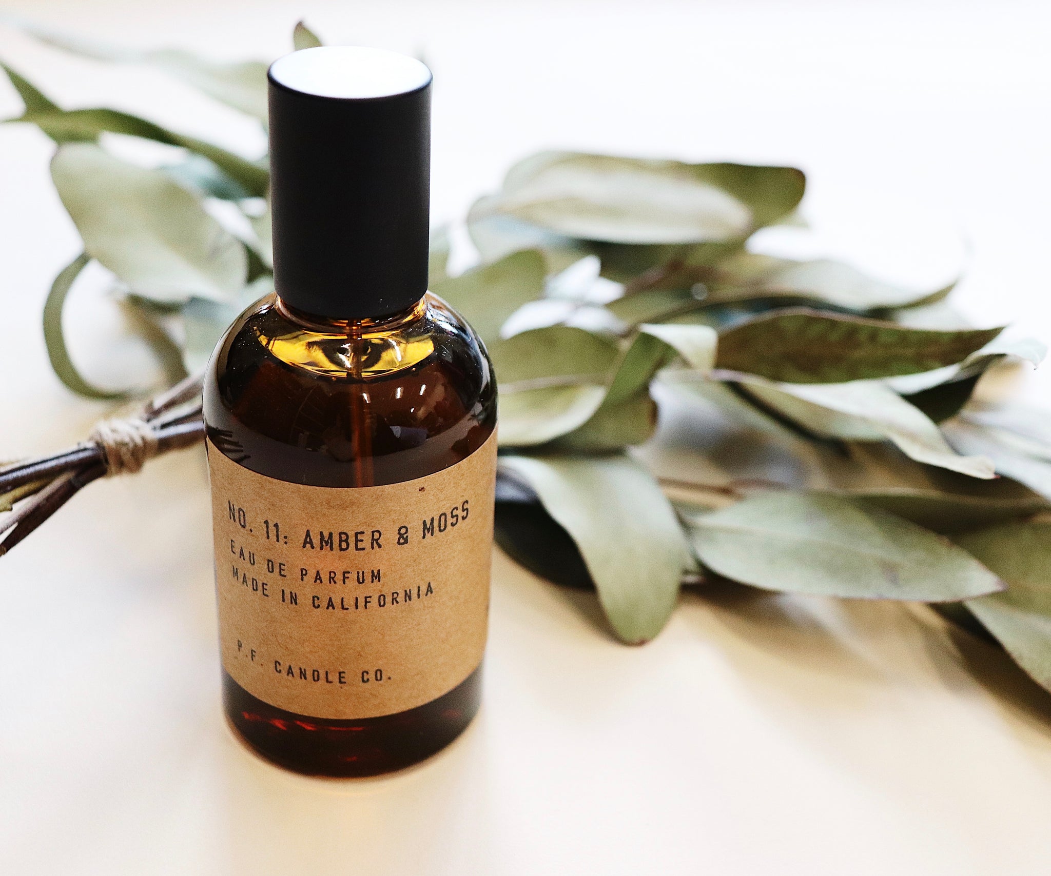 Amber and top moss perfume